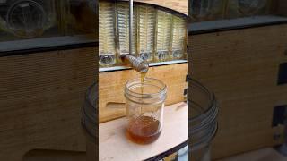 Honey on tap  #shorts #flowhive #honeyharvest #beekeeping #beekeeper #garden