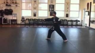World Tang Soo do form #1