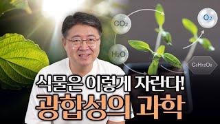 광합성의 비밀: 햇빛이 만들어내는 생명의 에너지! 생명과학 교과서 속으로 12편!