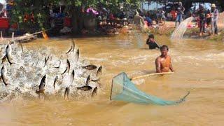 Viral Fishing Video In Flood Season Catch Lot Of Fish, village fishing video