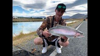 FISHING For GIANT TROUT In The TWIZEL CANALS.