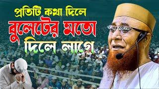 প্রতিটি কথা বুলেটের মত লাগে || Nazrul islam kasemi waz || মুফতি নজরুল ইসলাম কাসেমী WAZ 2024