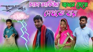 চাচা ভাতিজা জখন মেয়ে দেখতে যায় | chacha bhatiji video | chacha bhatija new video |@nsgroup2