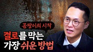 곰팡이의 시작, 결로가 생기는 원인과 해결책 완벽 정리