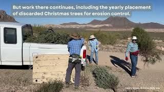 Christmas comes late to desert restoration project