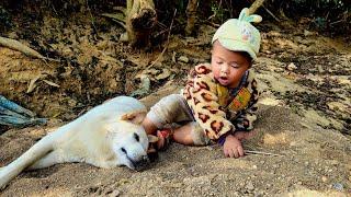 The deprived life of a child lacking mother's love - harvesting vegetables to sell with his father