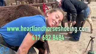 Heartland Horseshoeing School.   Best Farrier School