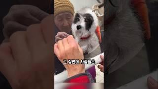 자수 장인의 한 땀이 보여준 진짜 예술