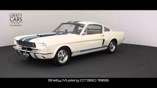 Shelby Mustang GT350 1966