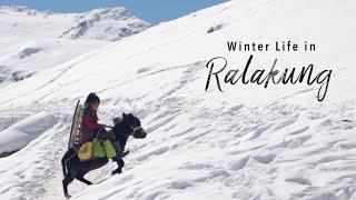 Unseen Winter Life in Zanskar's Remote Ralakung Village