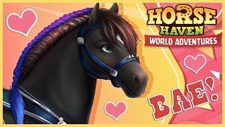 New Percheron & Weather Horse Skills in Horse Haven World Adventures