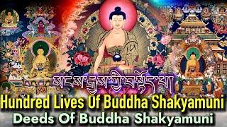 ️Buddha Prayer - 100 Lives Of Buddha Shakyamuni(Deeds Of Buddha) बुद्ध प्रार्थना/སངས་རྒྱས།