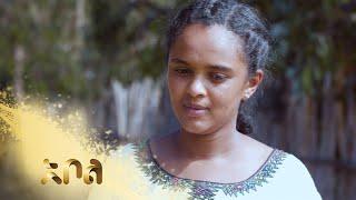 ሙሉ ክፍል 1 – አደይ  | ክፍል 1 | አቦል ቲቪ – Adey | Season 1 | Episode 1 | Abol TV