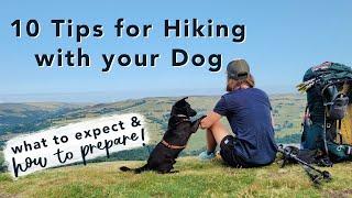 10 Tips for Hiking with your Dog | Everything I've learned hiking 4000km with my dog