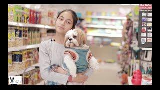 Just Dogs store tour with Tanisha and her furry buddy.