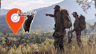 Colorado OVER THE COUNTER Archery Elk Hunting! - Public Land Elk Hunting