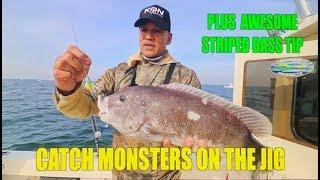 HOW TO TIPS BLACKFISH TAUTOG & STRIPED BASS !!