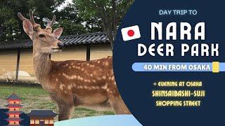 [Japan Travel Guide] Day Trip to Nara Deer Park & Back to Osaka Shinsaibashi-Suji Shopping Street