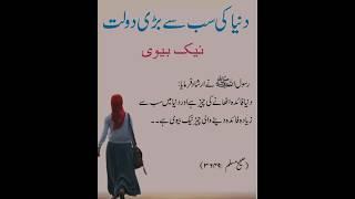 Duniya Ki Bri Dolat/Naik Bewi #islamicvideos  #quotes  #islamicquotesinurdu #amazingfacts #akf