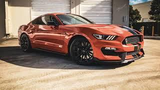 SHELBY MUSTANG - AUTO IMPORTS MIAMI