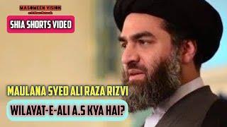 Wilayat-e-Ali a.s Kya Hai? | Shia Shorts | Maulana Syed Ali Raza Rizvi