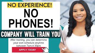  Non-Phone Work From Home Job: No Experience Friendly | Typing & Non-Voice | Flexible Schedule