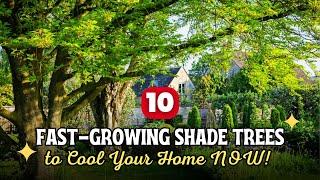 Impatient Gardener? Top 10 Fast-Growing Shade Trees to Cool Your Home NOW! 