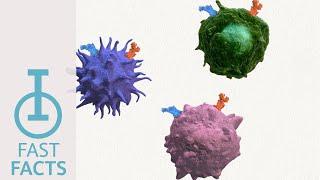 IOU Youtube: How do CCR2 and CCR5 promote immunosuppression?