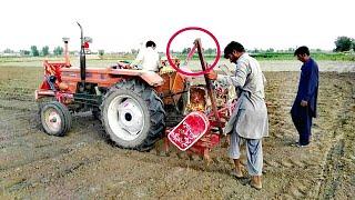 Cotton Seed Sowing Old Machine with Fiat 480 Tractor | Punjab village Tractors