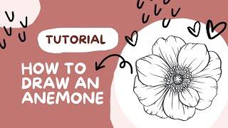 How to draw flowers: Learn to draw an ANEMONE tutorial