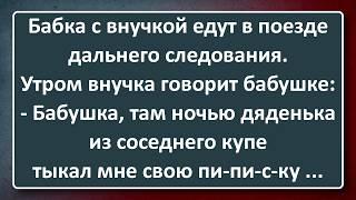 Бабкина Внучка и Грозная Мужская Сосиска! Подборка Лучших Анекдотов Синего Предела