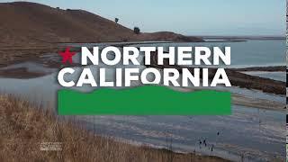 Northern California Public Media ID (2020) #7