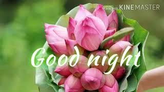 Good night photos images pictures pics hd wallpaper gifs and videos for social sharing.