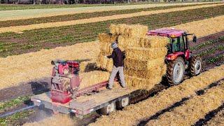 Webster Farms Ltd. Covering Strawberry Plants 4K