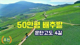 새비재 . 운탄고도 1330 4길 . 강원도 정선 신동 . 타임캡슐공원 . 50만평 배추밭 . 은하수 . 아름다운 길 드라이브 . 드론 . 잠깐쉼 . 4K . BGM