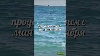 Эгейское море,не путать с гейским