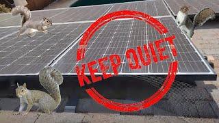 Squirrel Shenanigans & Solar Panel Solutions - Davis CA Pest Control