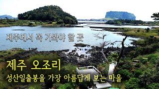 제주 오조리 - 성산일출봉을 가장 아름답게 보는 마을.                                                 제주에서 꼭 가봐야 할 곳