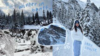 winter in banff . ݁︎⋆⁺₊. lake louise, hiking in the snow & canadian rockies ️