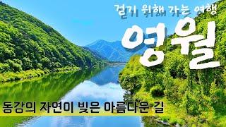 [나홀로 트레킹]  여기는 천국의 입구인가? | 아름다운 숲길과 웅장한 동강을 걷는 강원도 영월의 숨은 명소 여행 코스 추천 | Trekking yeongwol in korea