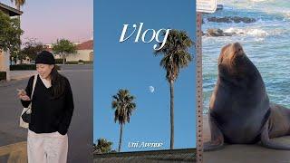 vlog. San Diego Ep,1. Sea lion Western coast. Palm Trees Full of food. New York Freelancer