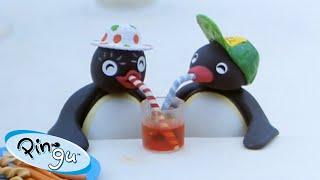 Pingu Loves Food! | Pingu - Official Channel | Cartoons For Kids