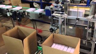 8 packs small paper box filling into big carton box packaging machine