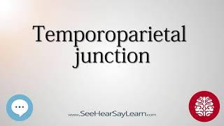 Temporoparietal junction   Anatomy of the Brain   SeeHearSayLearn 