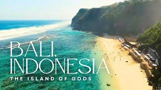 Bali, Indonesia (Travel Video)