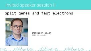 Science: Polish Perspectives Oxford 2018 - DAY 2 - Wojciech Galej - Split Genes And Fast Electrons