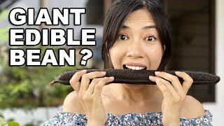 Bean There, Tasted That: Exploring a Giant Rare Bean!