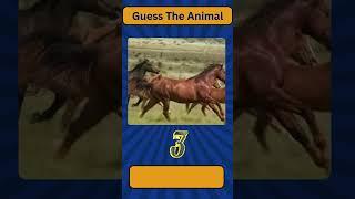 Guess The Animal 24 | Quiz Tunnel