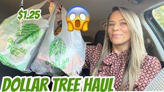 DOLLAR TREE HAUL | NEW | CAR HAUL | AMAZING NEW BRAND NAME FINDS 