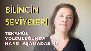 İnsan Bilincinin Seviyeleri | Duyguların Frekansı Var Mı?